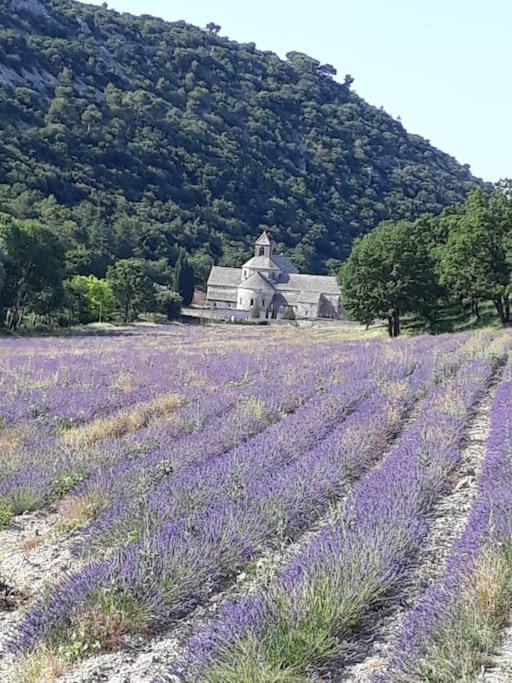 Bastidon Plein Sud Villa Gordes Luaran gambar