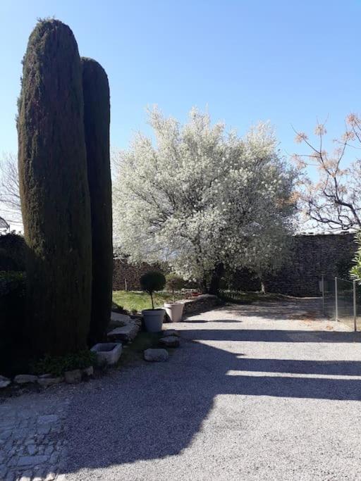 Bastidon Plein Sud Villa Gordes Luaran gambar
